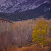 Dawn Ridgway Photo 9
