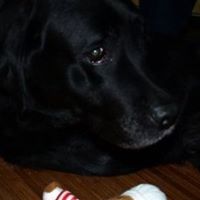 Ann Middleton Photo 21