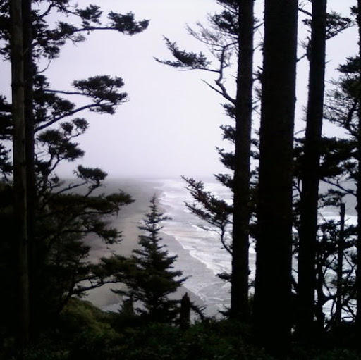Christina Gibbs Photo 34