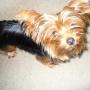 Daphnee Louis Photo 4