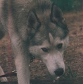 Jason Frye Photo 8