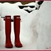 Ann Mcleod Photo 28