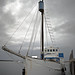 Ann Simms Photo 17