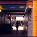 Neal Walls Photo 2