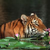 Debra Gunn Photo 15