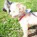 Sue Knox Photo 19