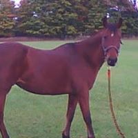 Teresa Crawley Photo 24