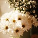Eric Crowe Photo 37