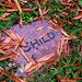 Phillip Stone Photo 20