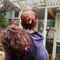 Frances Hoover Photo 8