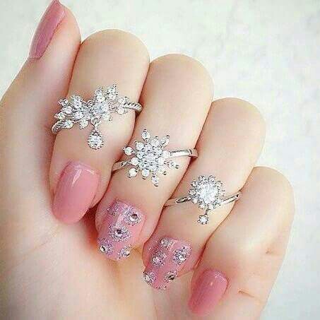 Rosa Rose Photo 33