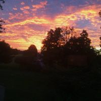 Jamie Luttrell Photo 11
