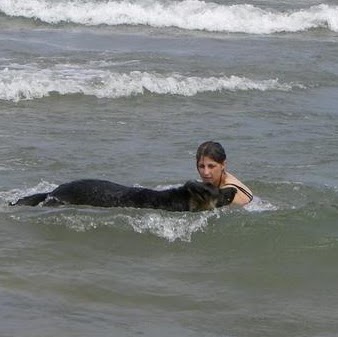 Cindy Moss Photo 8