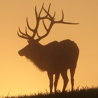 Patrick Mullen Photo 56