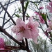 Samantha Meeks Photo 31