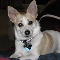 Carol Rathbun Photo 9