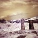 Dale Stone Photo 20