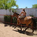 Joe Lefebvre Photo 29