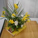 Barbara Lambeth Photo 7