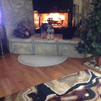 Judy Mccombs Photo 5
