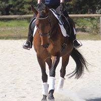 Michelle Goding Photo 5