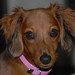 Jill Wieners Photo 6