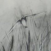 Ruth Richmond Photo 15