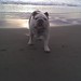 Larry Stinson Photo 32
