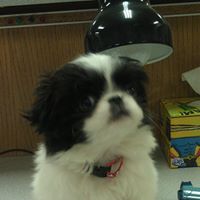 Linda Gustafson Photo 6