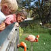 Linda Rowe Photo 24