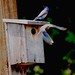 Brian Murphy Photo 15