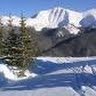 Lori Kester Photo 8