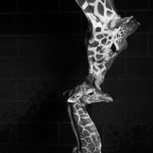 Heather Davis Photo 33