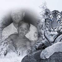 Daniel Lang Photo 47