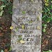Samuel Craig Photo 5