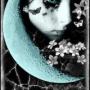 Cynthia Casteel Photo 16