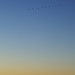 Richard Robles Photo 43