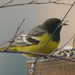 Scott Conover Photo 6