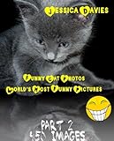 Funny Cat Photos - World's Most Funny Pictures Part: 2