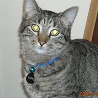 Judy Rhoades Photo 32