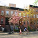 Clifton Clinton Photo 7