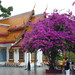 Mei Chiang Photo 9