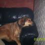 Gary Childers Photo 34