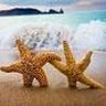 Wendy Shoemaker Photo 30