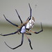 Marcia Lay Photo 11