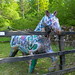 Jason Holzer Photo 10