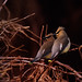 Todd Weber Photo 47