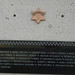 John Sneed Photo 11