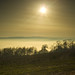 Guy Vale Photo 12