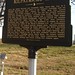 Patricia James Photo 8
